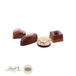 Kleine Kostbarkeiten Von Lindt - Exquisite Schokoladenpräsente für besondere Momente -Snack Verkäufe 2024 91003 Lindt Pralines Kleine Kostbarkeiten Fuellung 40161
