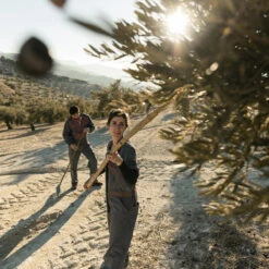 Lass Uns Zusammen Wachsen - Premium Olivenöl | Mitarbeitergeschenke -Snack Verkäufe 2024 hinterland olivenoel Olivenernte 93441